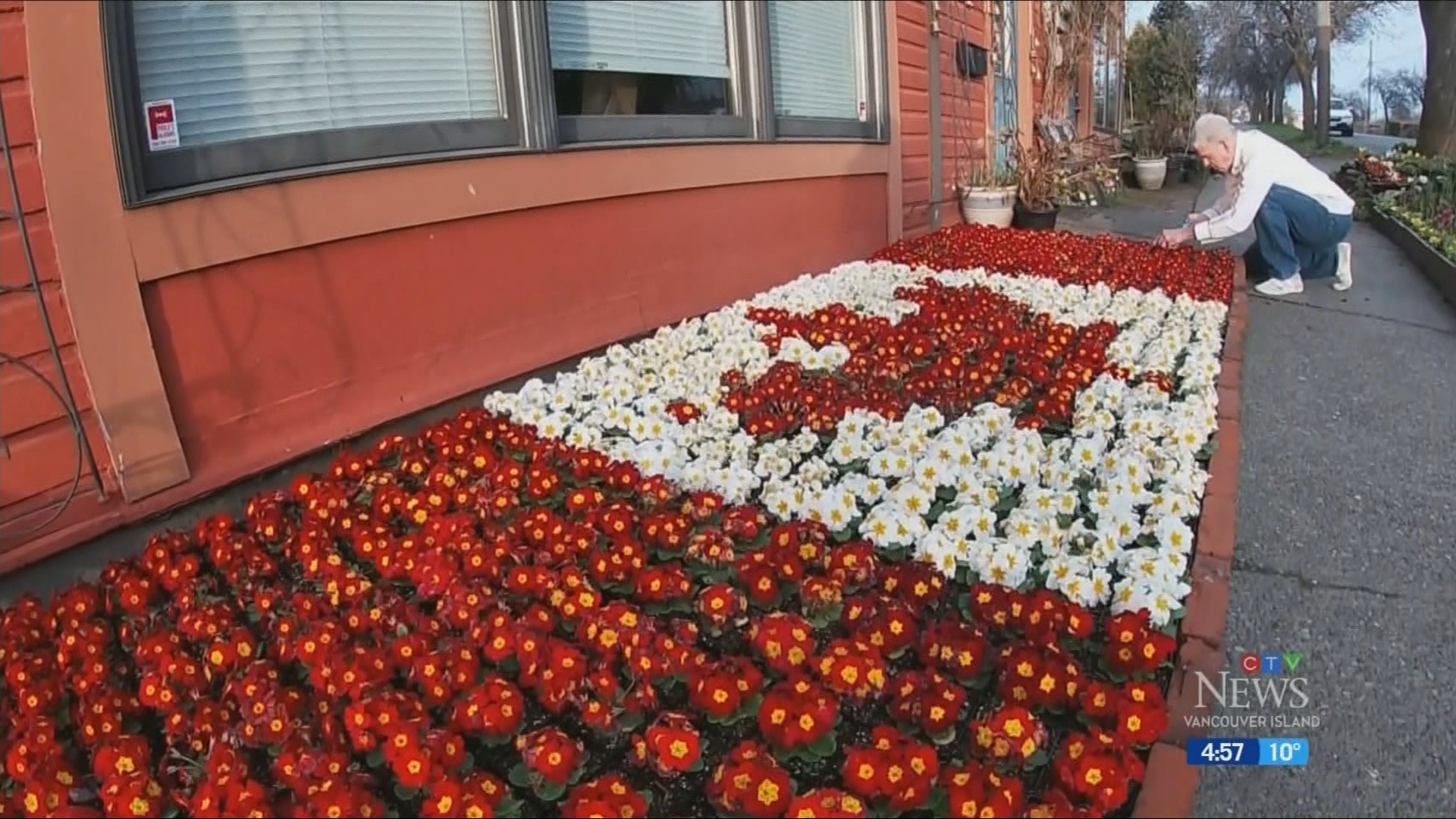 Meet the B.C. man behind a Canadian flag made of flowers