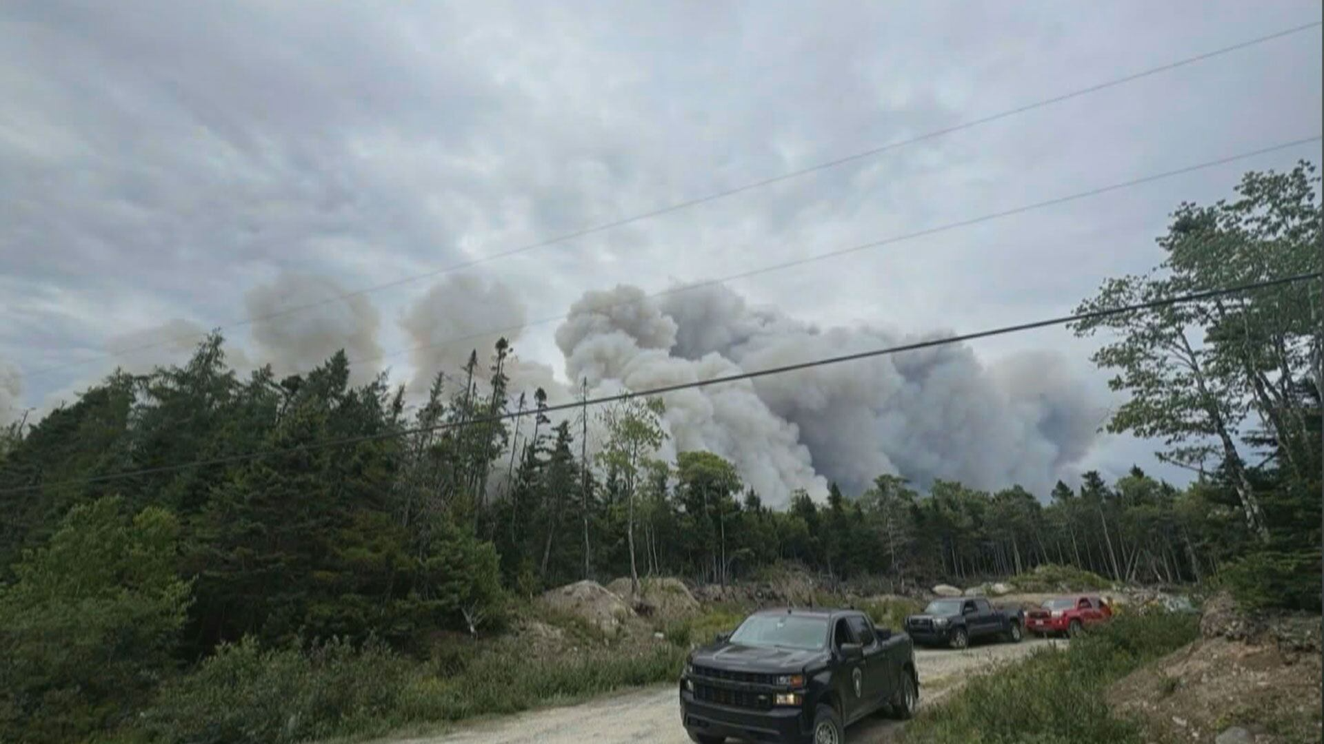 Understanding Canada's Response to the 2024 Wildfire Season