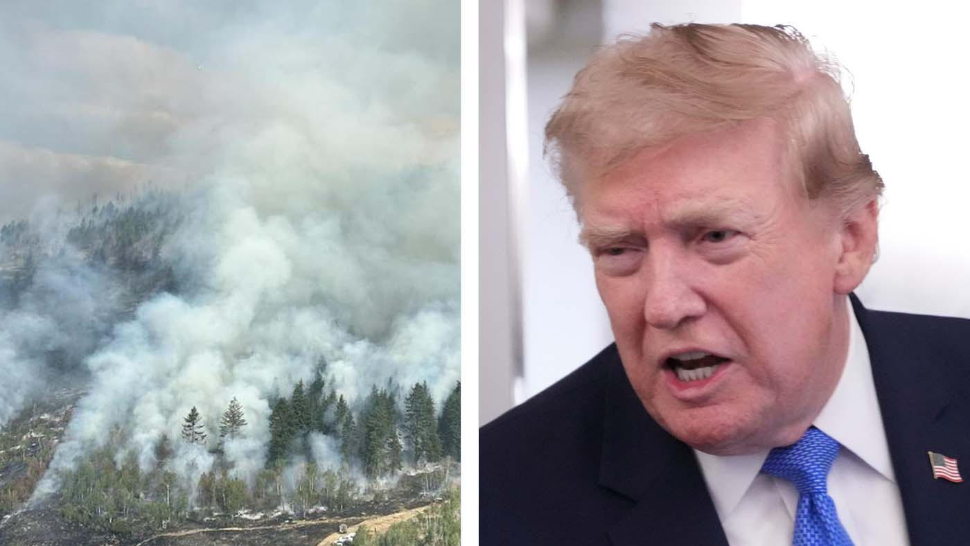 Donald Trump Comments on Canada Wildfires Spark Discussion